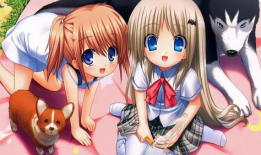 日本动漫洗衣屋,日本动漫中的温馨角落