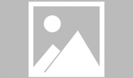 直播猎人生存手册 91,揭秘猎人生存技巧与实战攻略